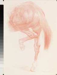Anstoß, Serie 4, 2012